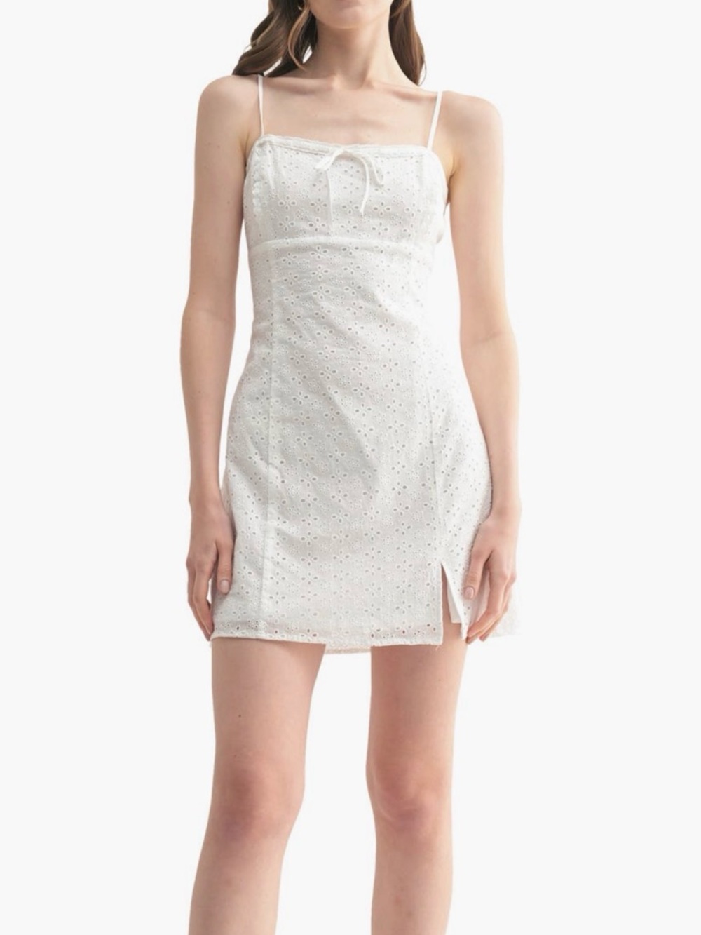 All in Favor Embroidered Eyelet Cotton Mini Dress